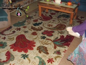 Living Room with Tropical Acres Select Strata Rug