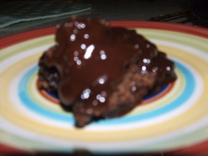 Delectable Additions Hot Fudge Brownie 