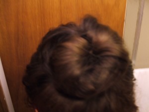 Sockbun