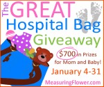 The Great Hospital bag