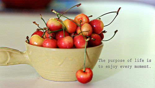 The purpose of life is to enjoy every moment.