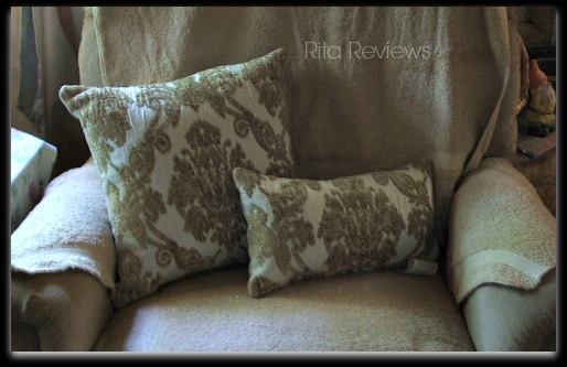 Cushion Source Pillows