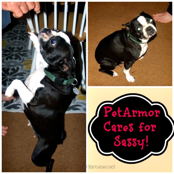 PetArmor Cares for Sassy!