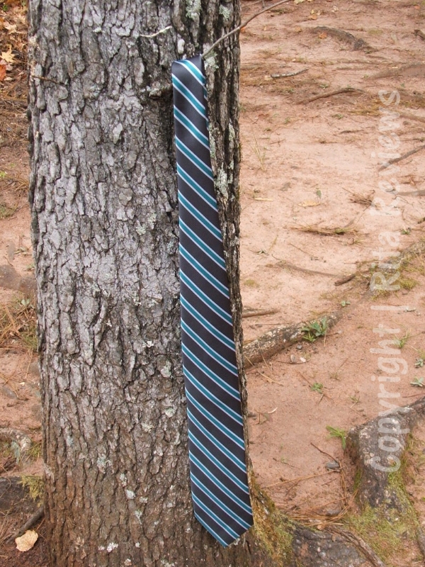 Francis Tie