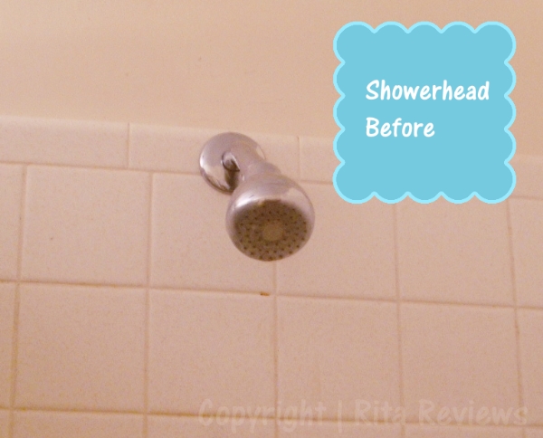 Showerhead Before