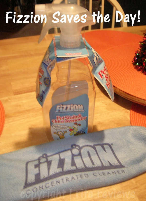 Fizzion Saves the Day!