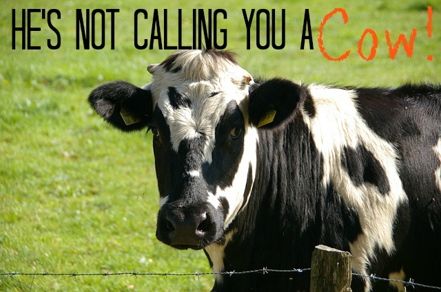 He's Not Calling You a Cow