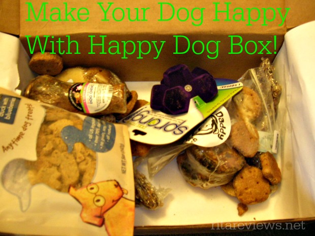 Make Your Dog Happy with a Happy Dog Box