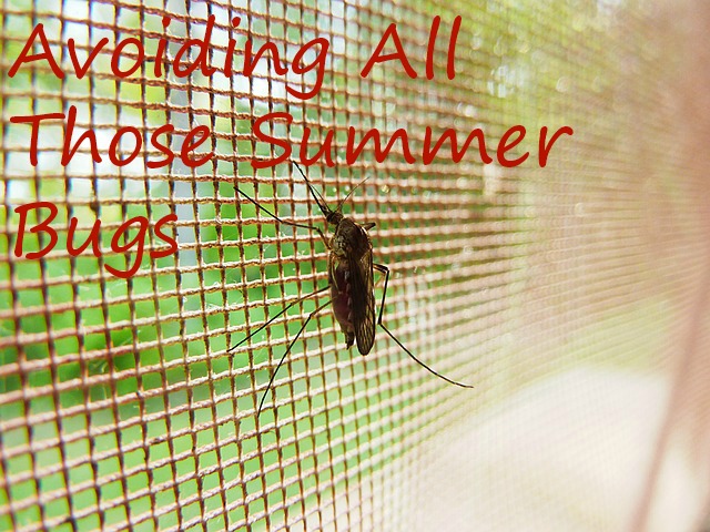 Avoiding All Those Summer Bugs