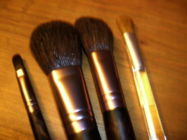 Sheer Cover Studio Brushes