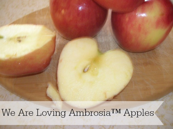 We Are Loving Ambrosia™ Apples