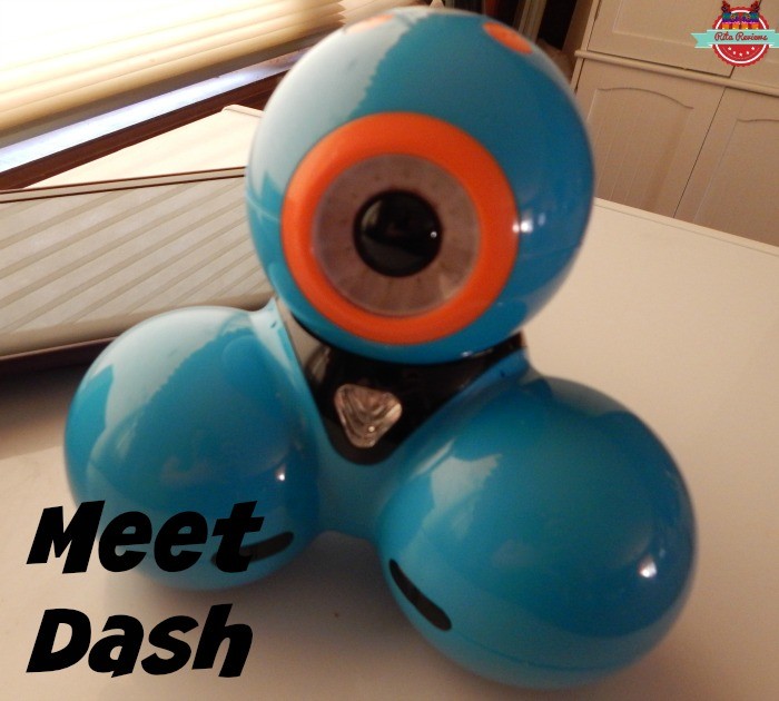 Meet Dash & Dot
