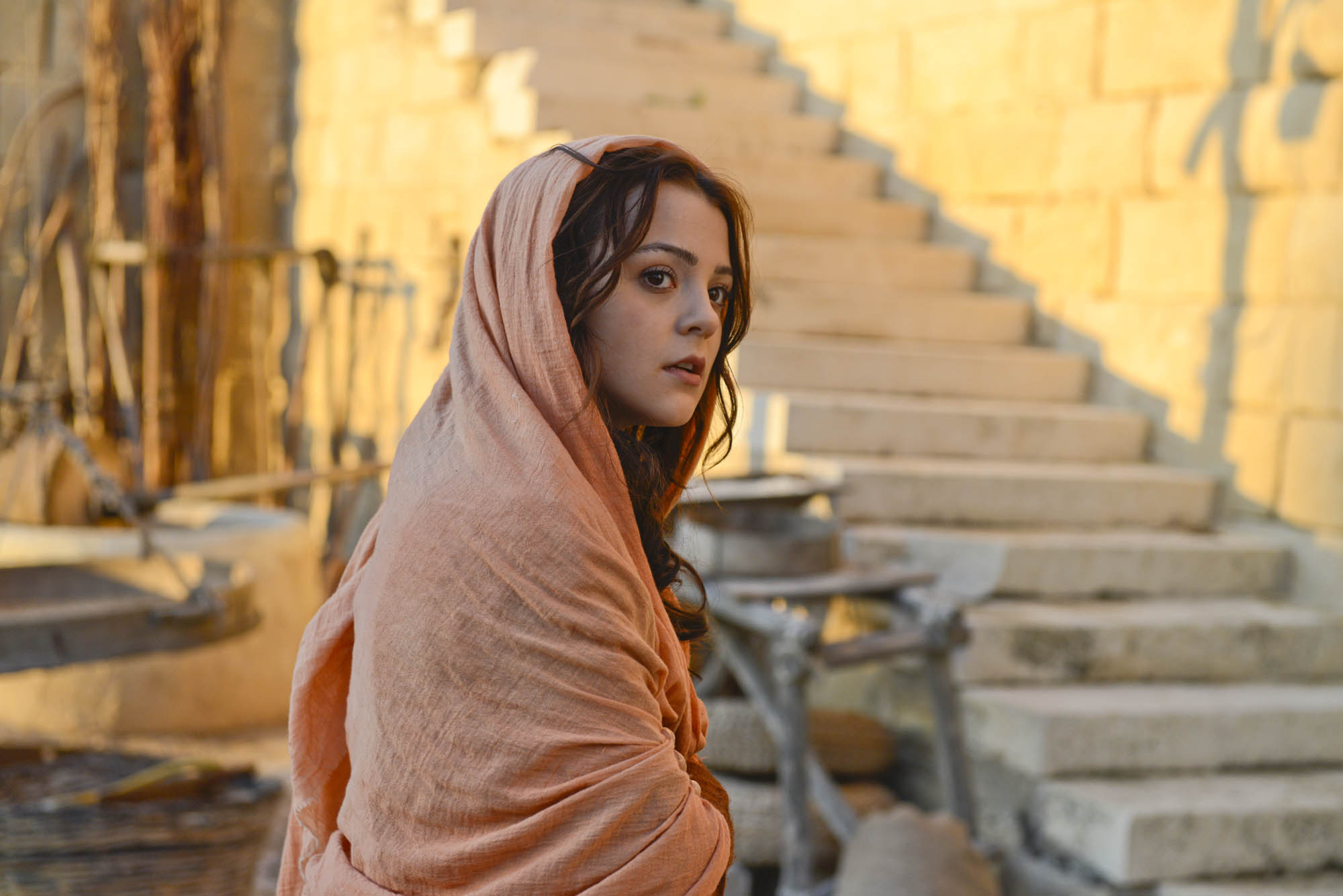 The Dovekeepers