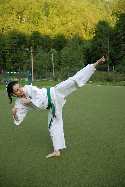 Martial Arts