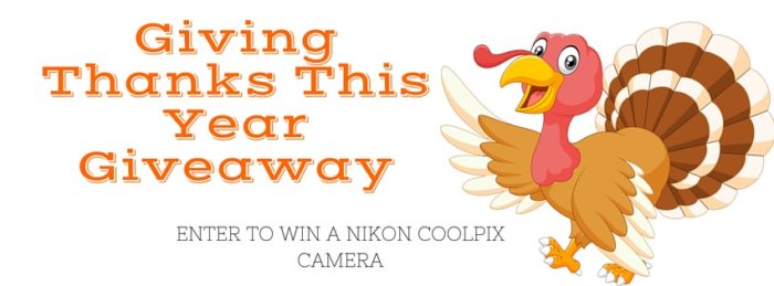 Giving Thanks This Year Giveaway