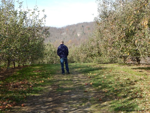 walking the orchard