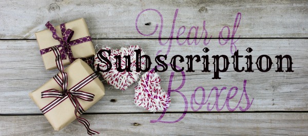 Year of Subscription Boxes