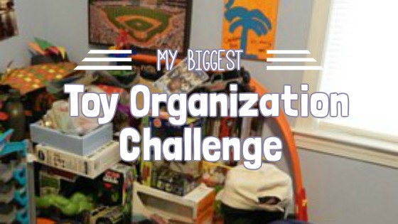 My biggest toy organization challenge