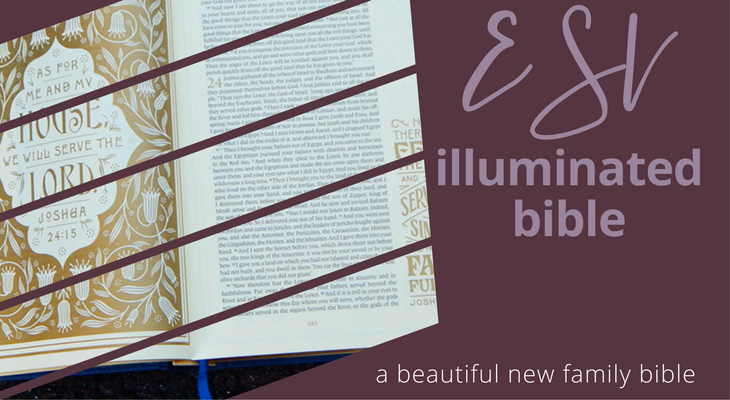 esv illuminated bible a beautiful new family bible