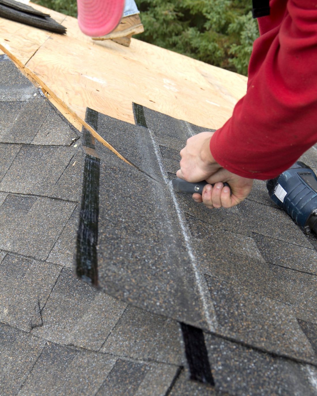 Secure Your House By Selecting The Perfect Sutherland Shire Roofers - Rita Reviews