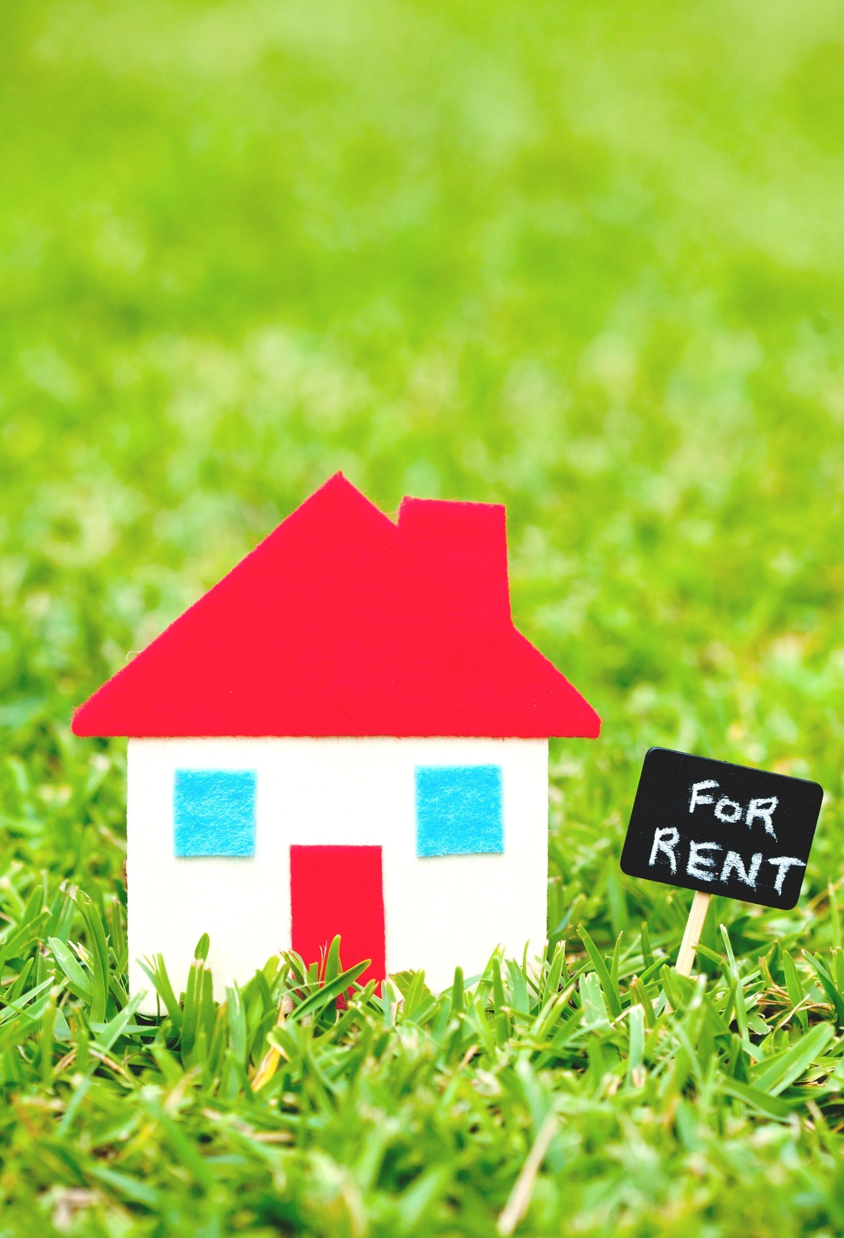 The Factors You Need To Consider When Looking For A New Home To Rent - Rita Reviews