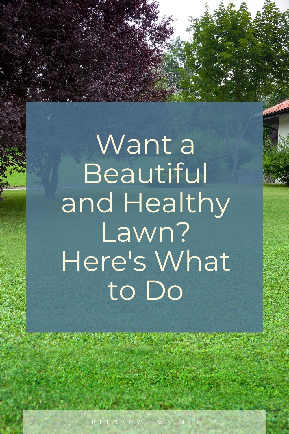 Want a Beautiful and Healthy Lawn Here's What to Do