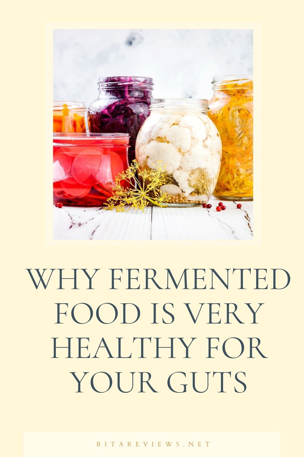 Why Fermented Food Is Very Healthy For Your Guts