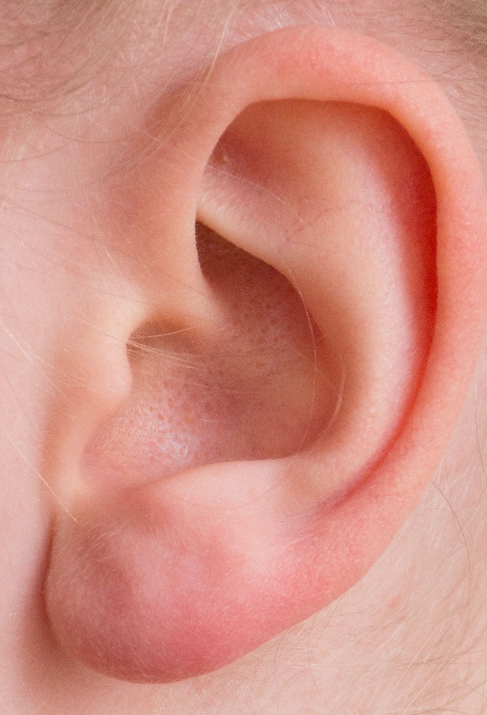 Keep Your Hearing Healthy With These 3 Tips - Rita Reviews