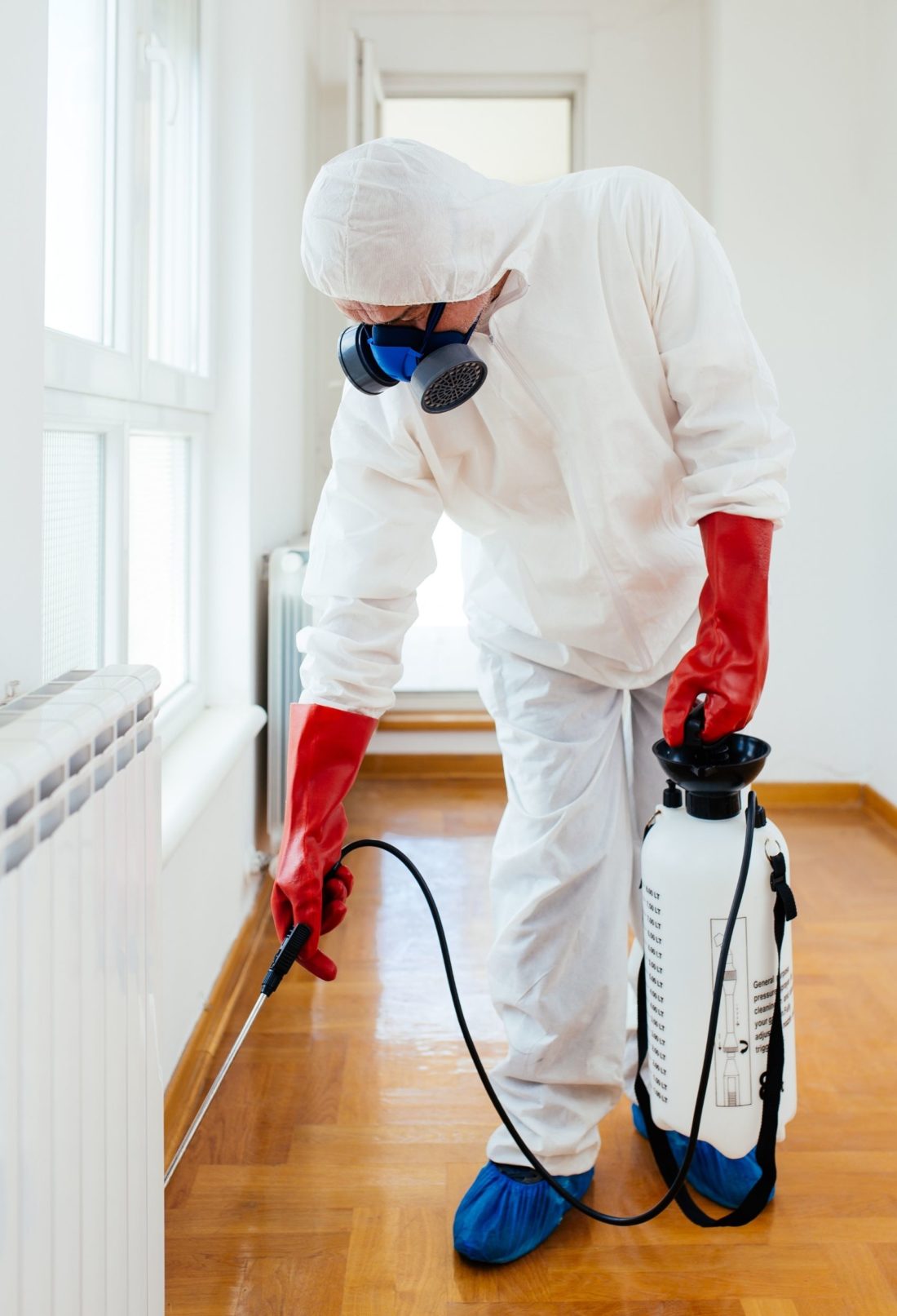 Benefits of Pest Control - Rita Reviews