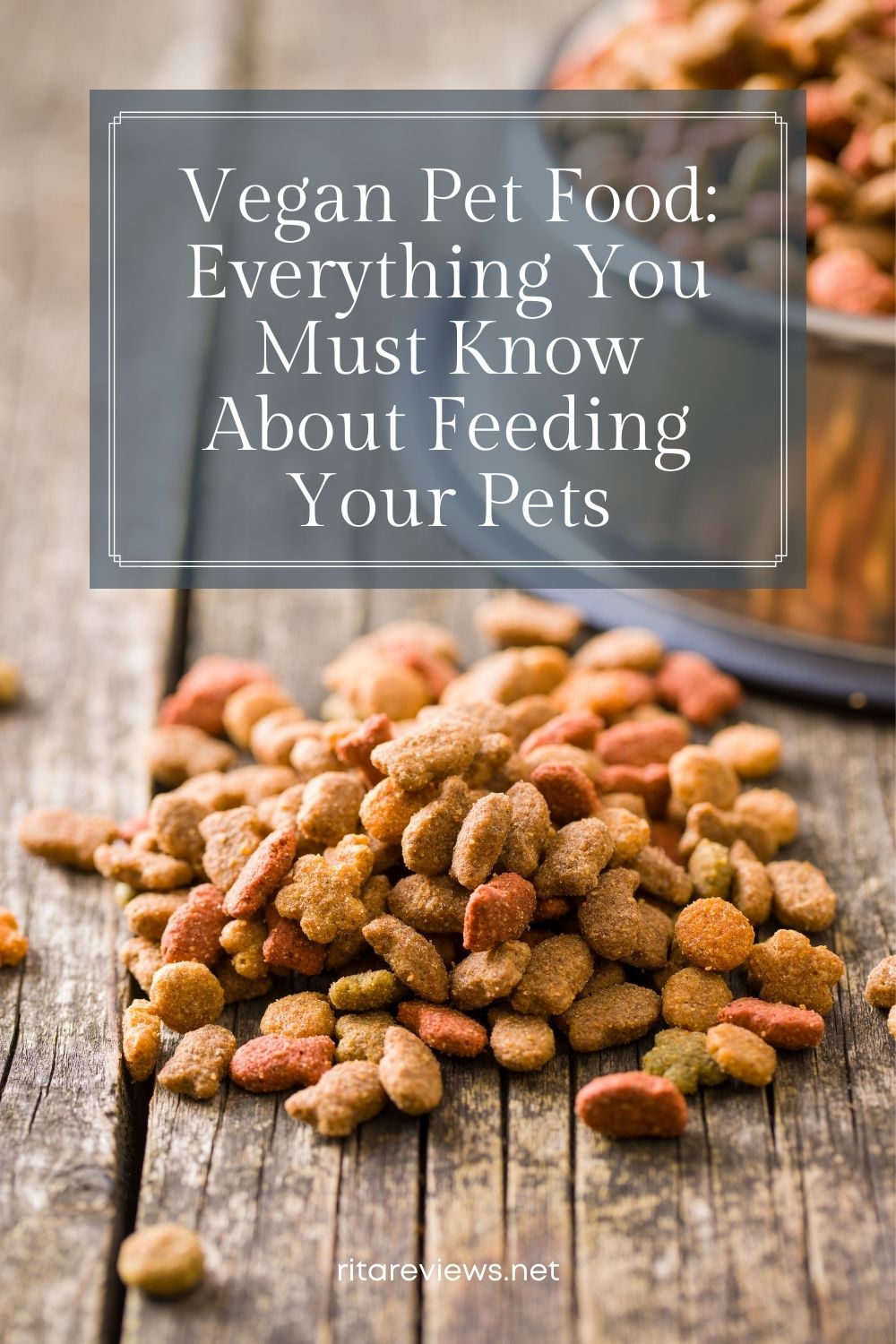 Vegan Pet Food: Everything You Must Know About Feeding Your Pets