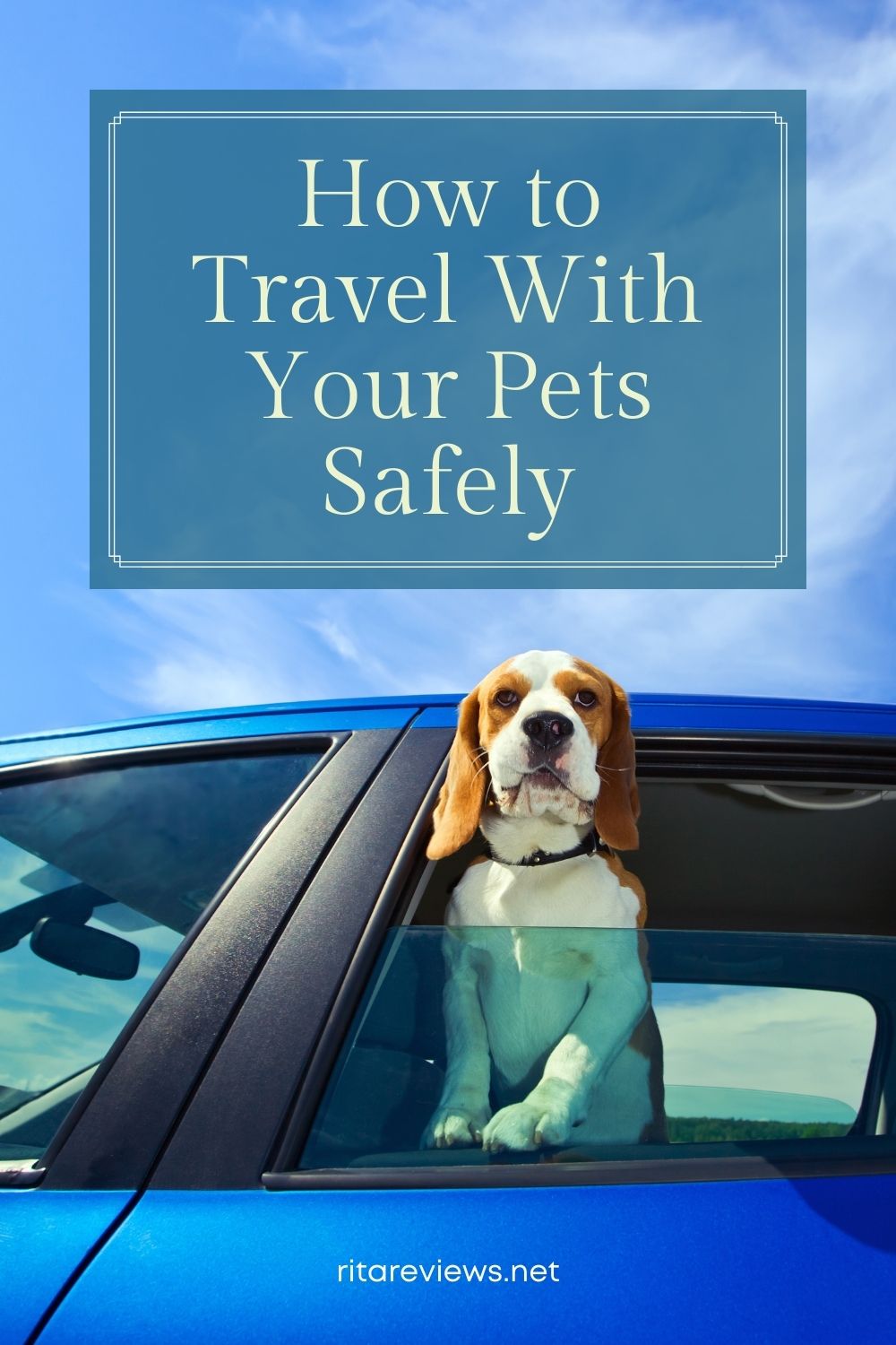 pets travel reviews