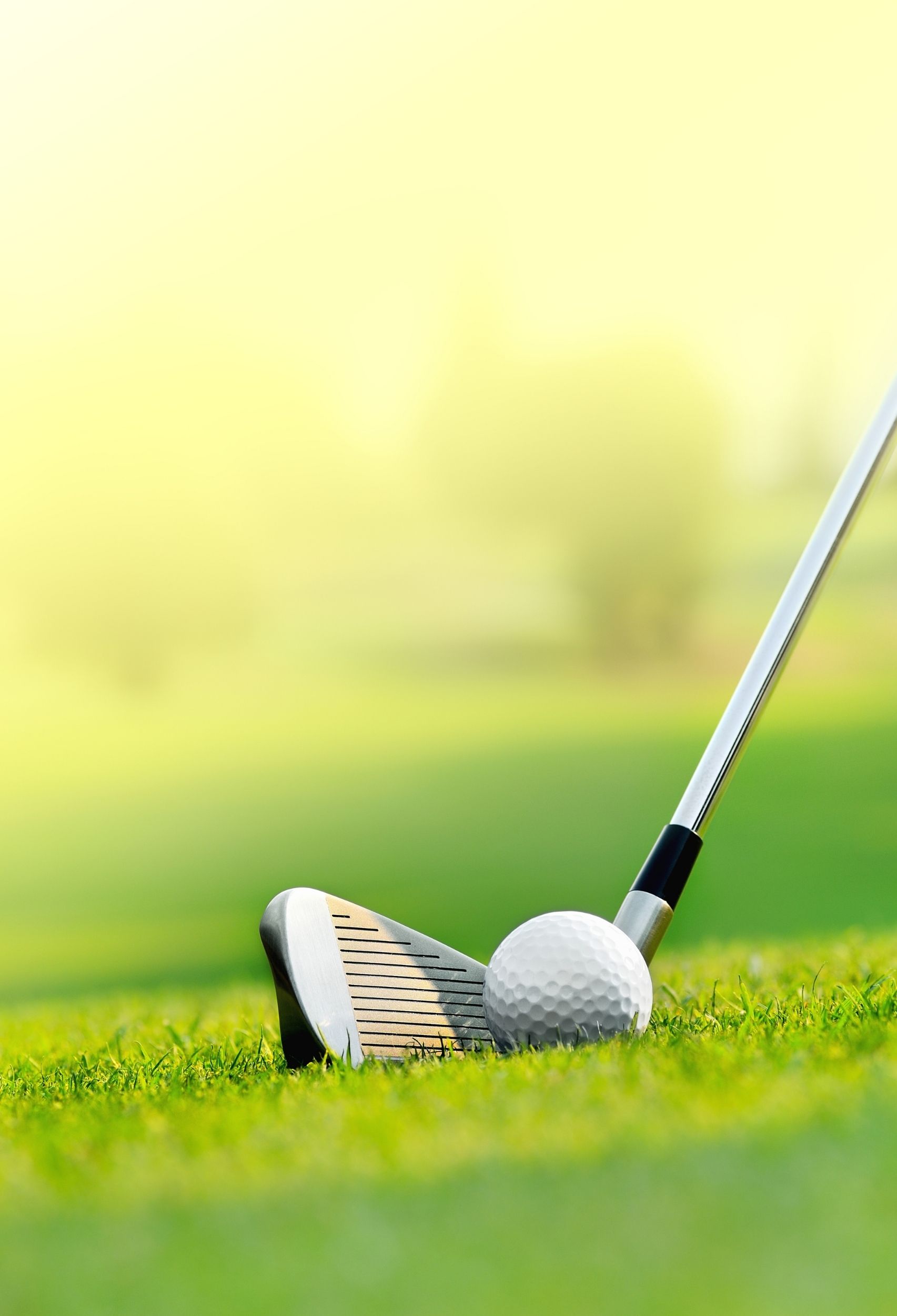 Perfecting Your Swing As A New Golfer - Rita Reviews