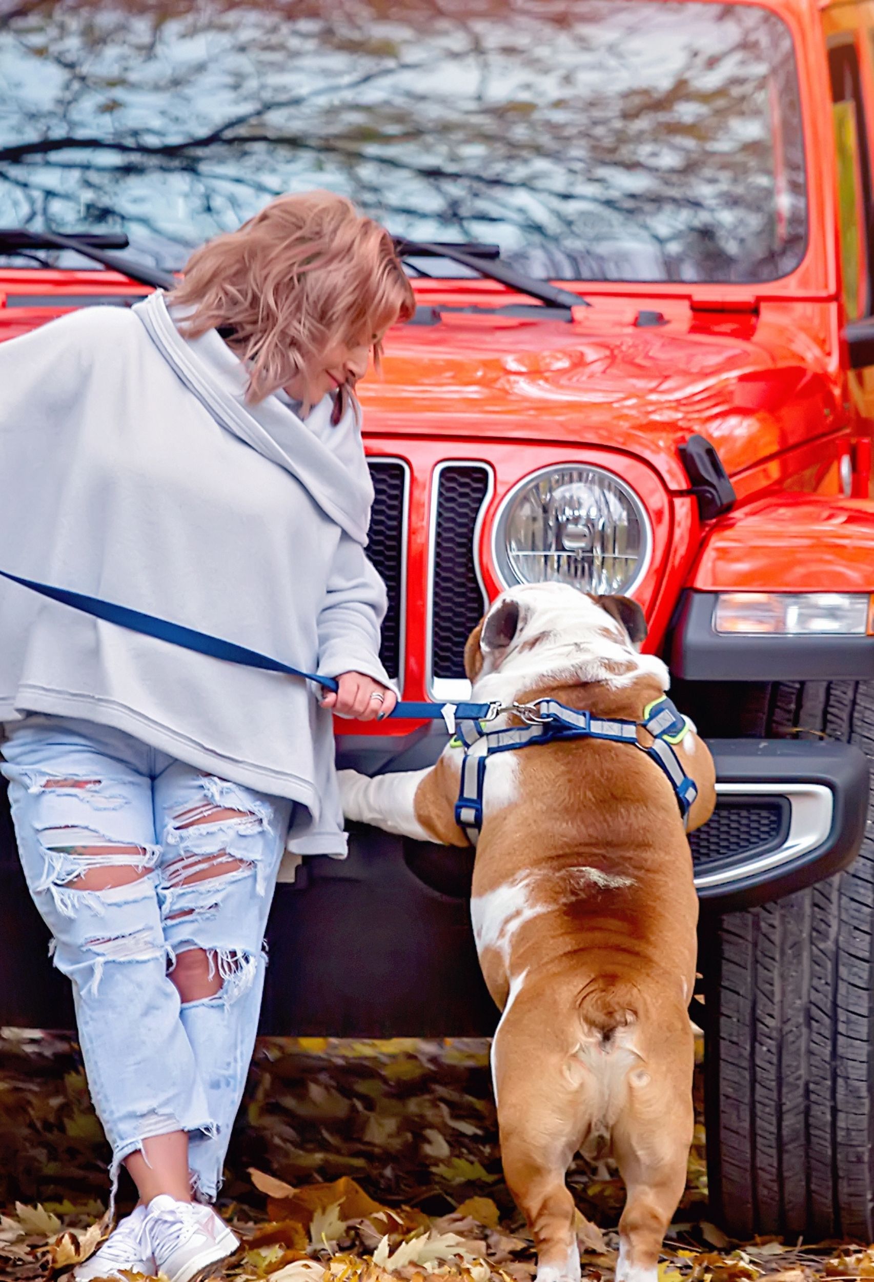 Tips For Taking A Roadtrip with Your Dog - Rita Reviews