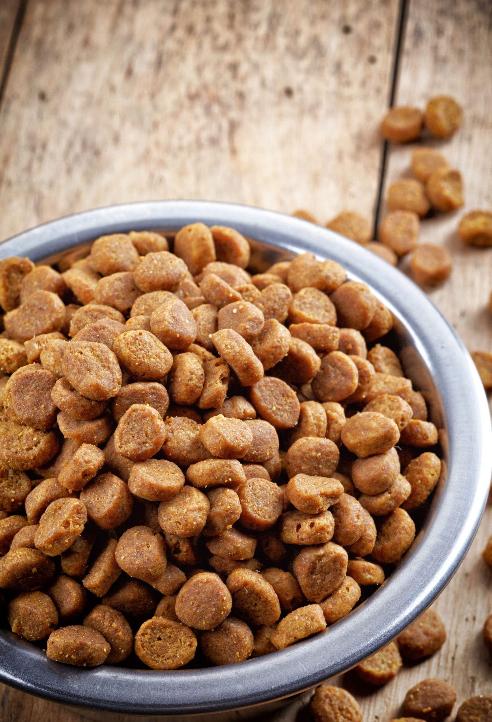 Understanding Grain-free Dog Food and Its Benefits to Your Pets - Rita Reviews