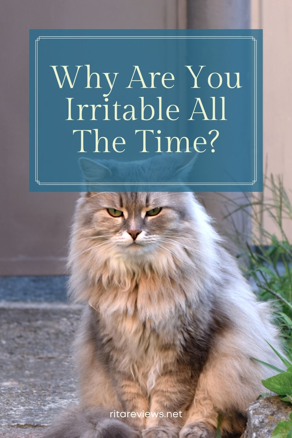 Why Are You Irritable All The Time