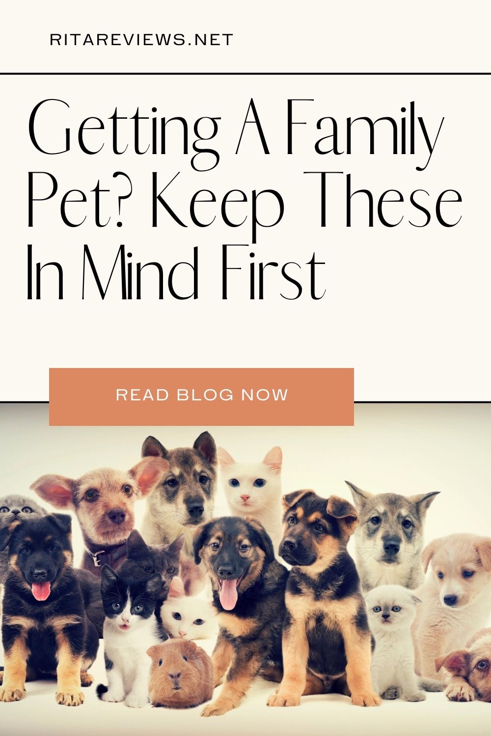 Getting A Family Pet Keep These In Mind First