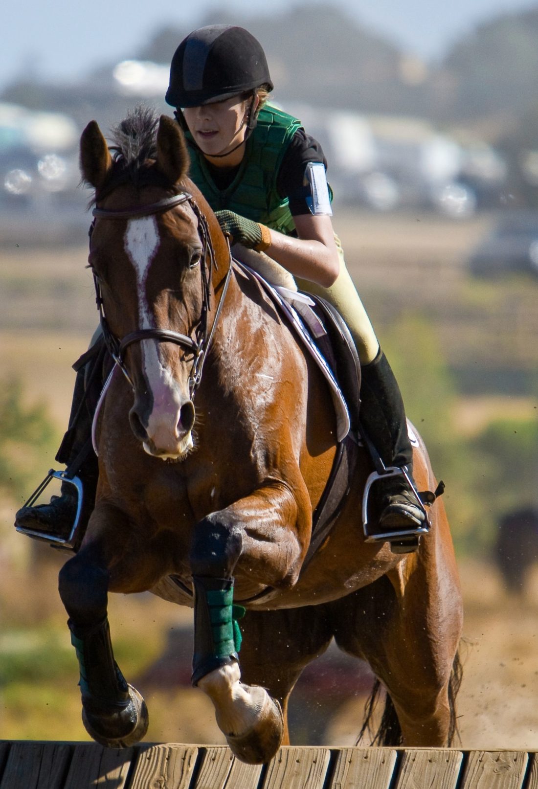 Factors to Consider When Searching for an Equestrian Helmet Visor- Rita Reviews
