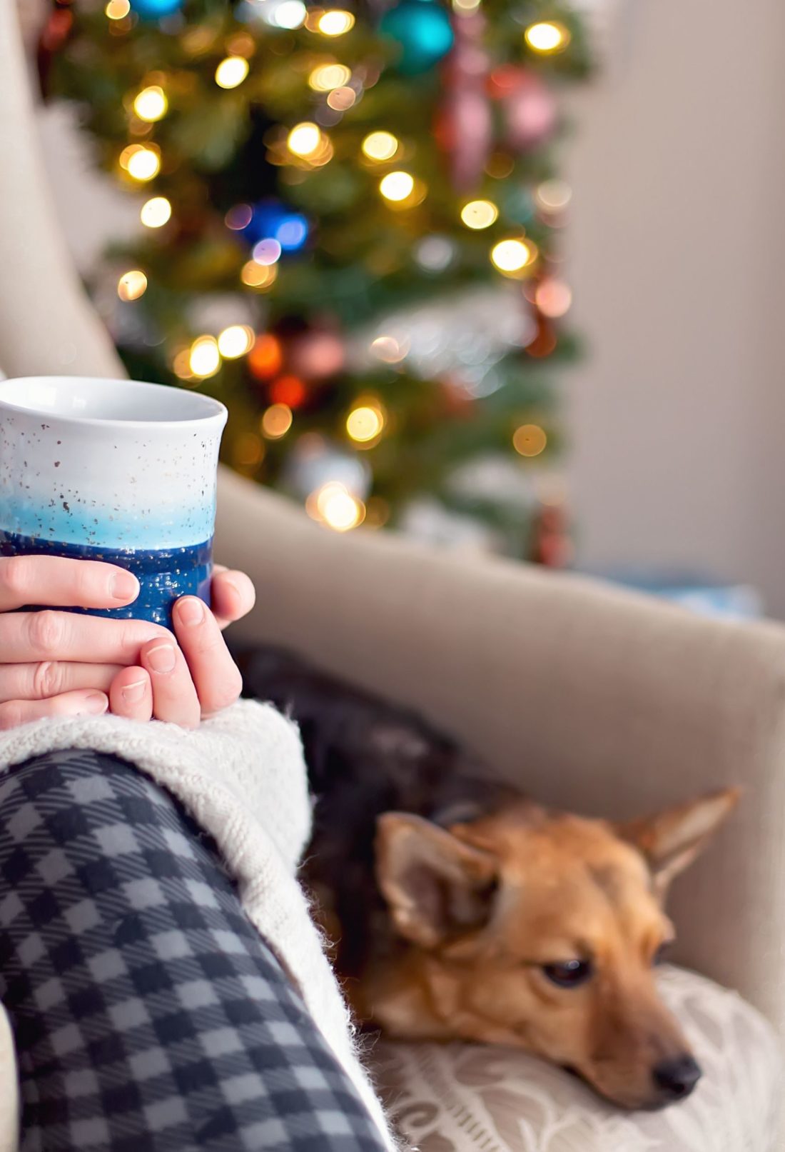 Holiday Survival Guide Tips for a Stress-Free Season