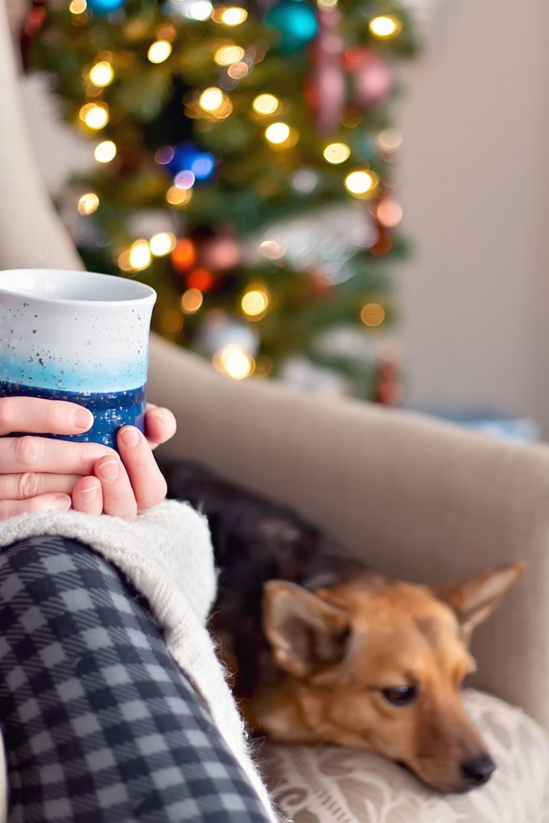 Holiday Survival Guide Tips for a Stress-Free Season