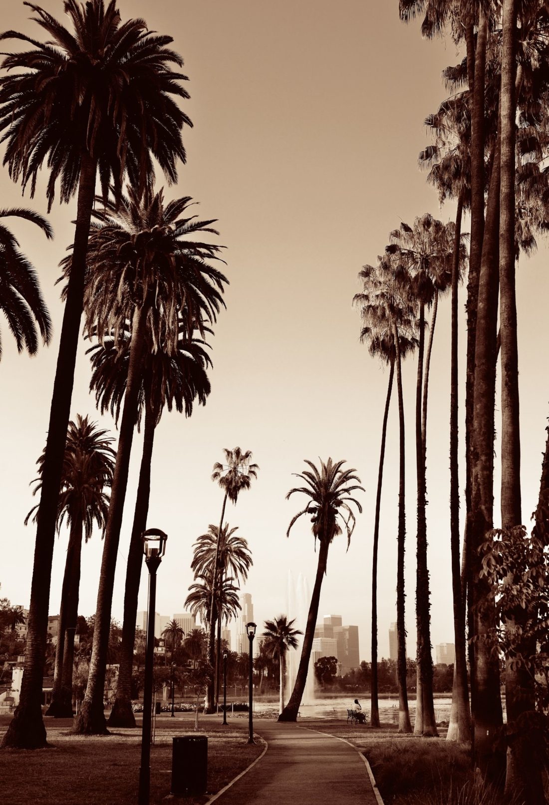 Top Reasons To Visit LA