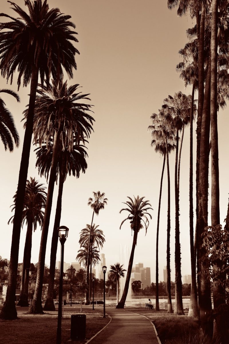 Top Reasons To Visit LA