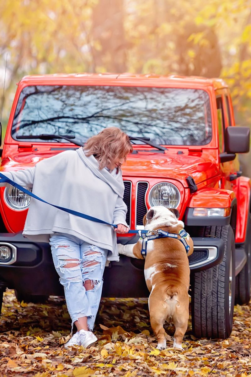 A Brief Guide to Socializing Your Dog with Humans