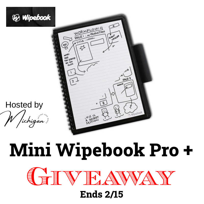 Mini Wipebook Pro + Giveaway - Rita Reviews