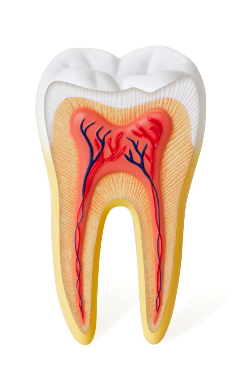 Facts and Tips you Should Know About Tooth Decay