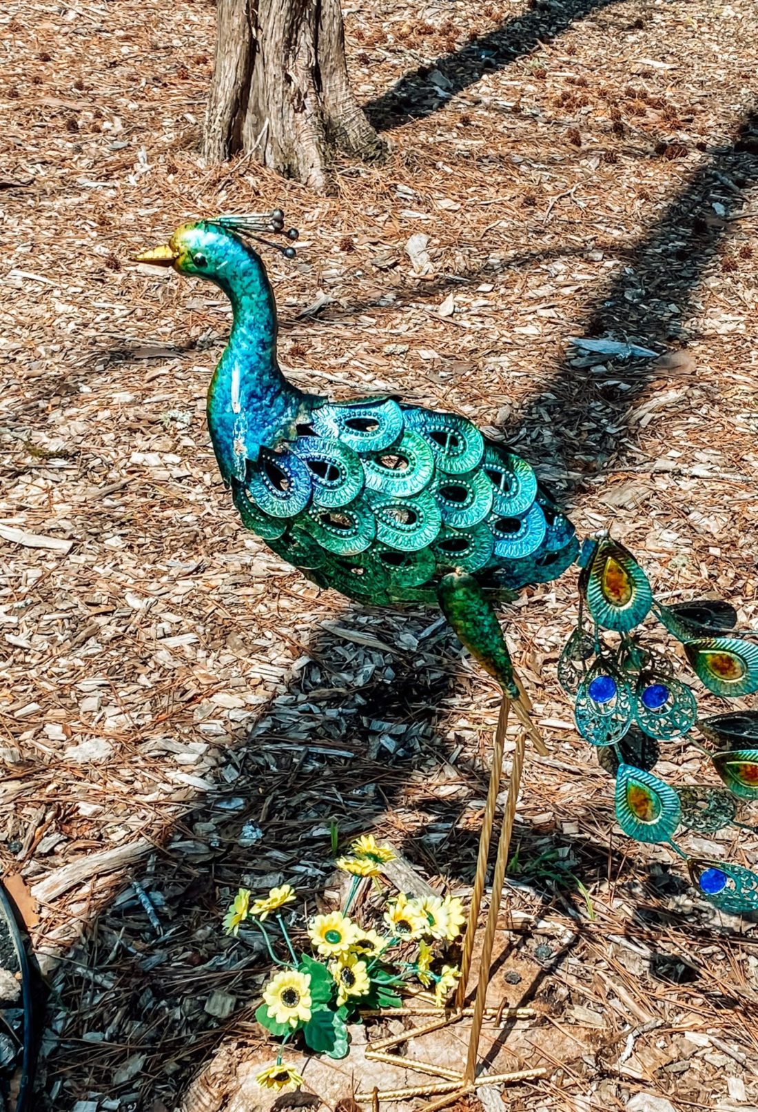 The Peacock That Got the Police Called