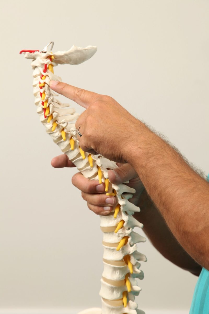 How Can a Chiropractor in Valdosta, GA Help in Pain Relief