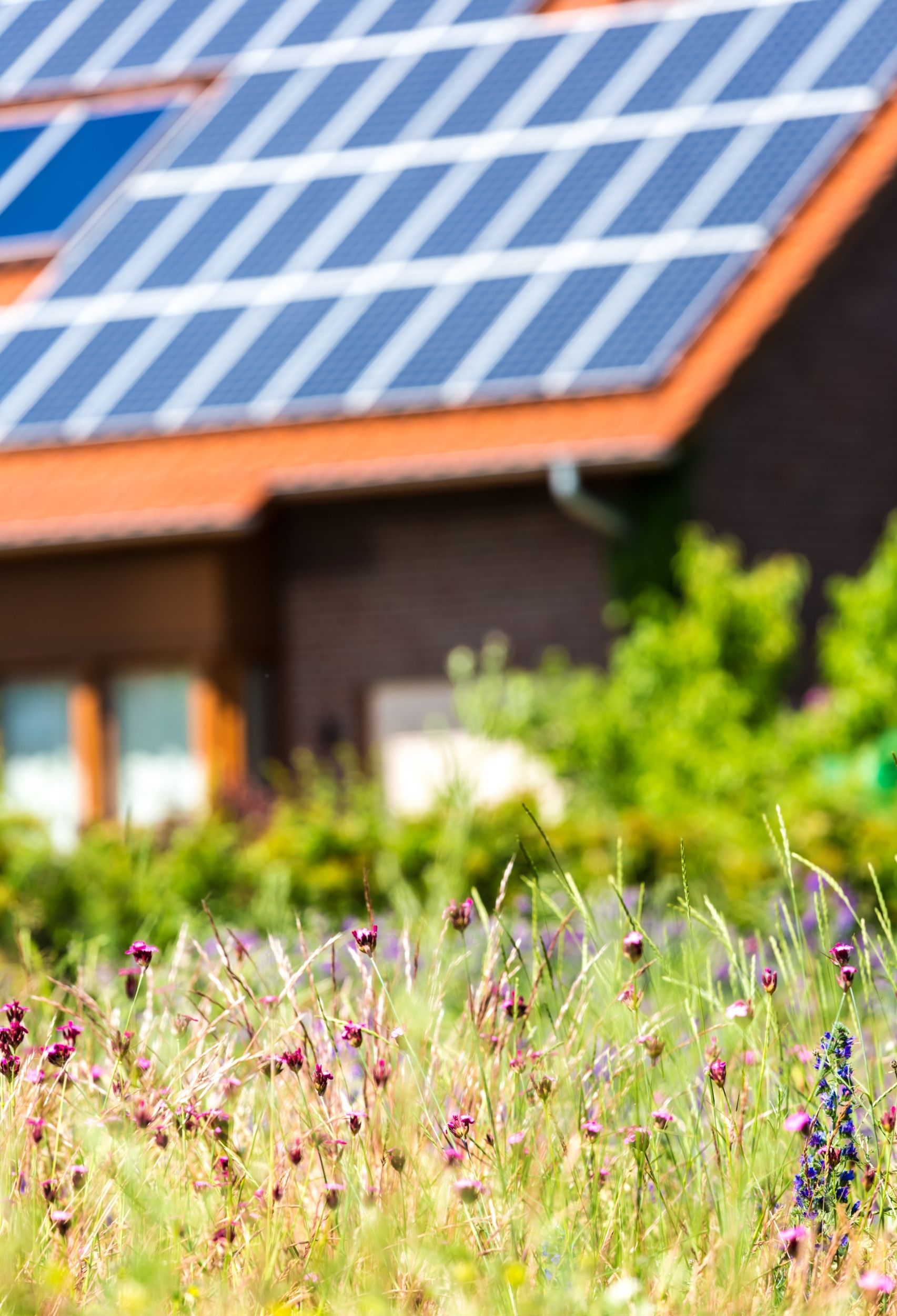 Top 10 Ways to Make Your Home More Eco-friendly