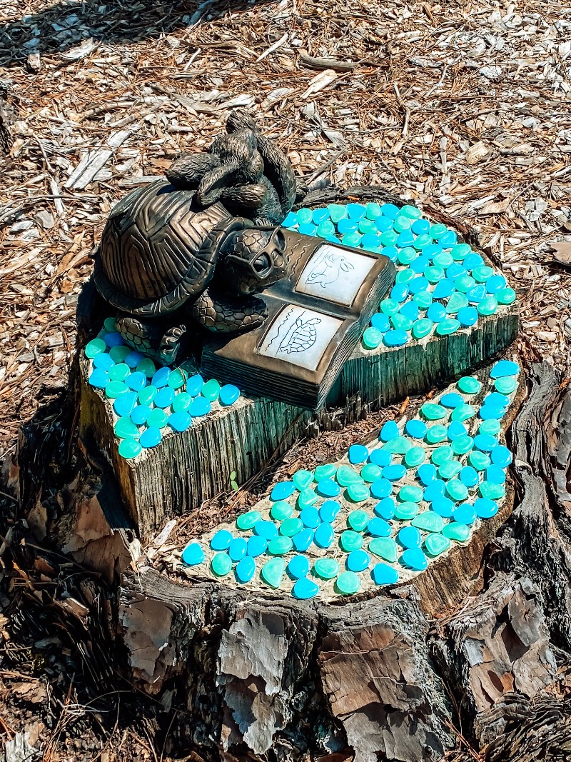 turtle on stump