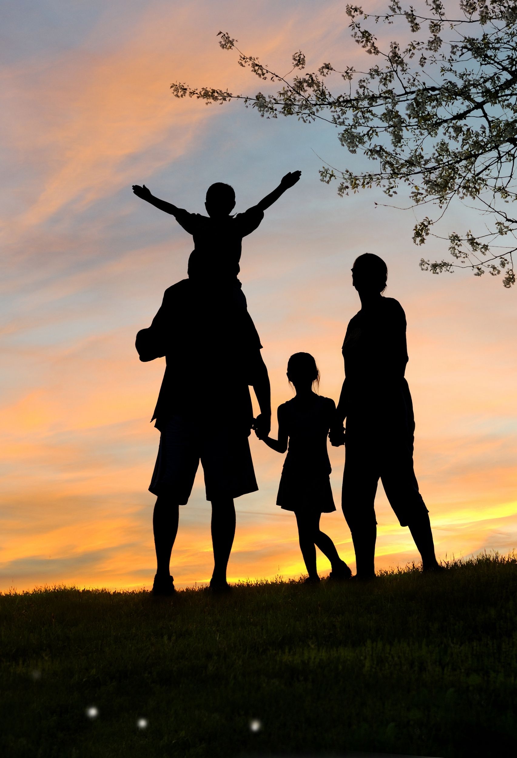 Tips For A Healthy And Happy Family Home