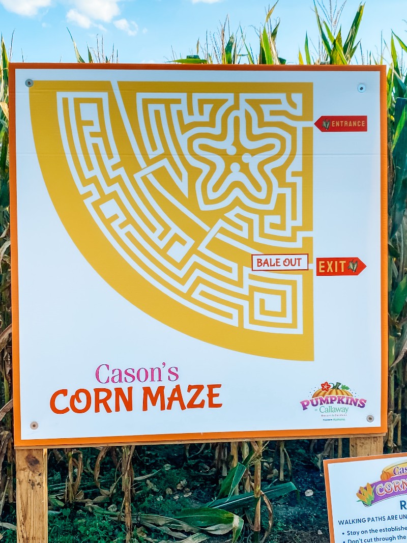 corn maze map